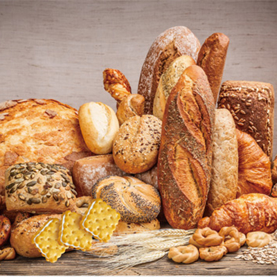 Phospholipase Novel Lipase Enzyme for Flour Bread improver