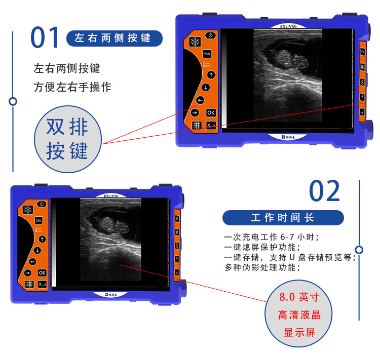 China boxianglai bovine ultrasound bxlv50 portable ultrasound scanner for veterinary use