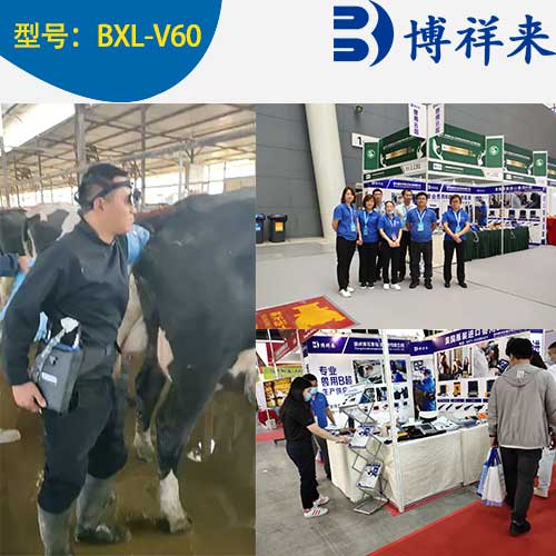China Bovine Vet Ultrasound Scanner BXLV60 Handheld 8 Inch Veterinary Equipment price