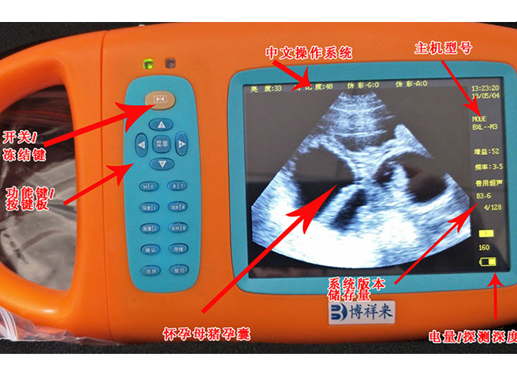 Boxianglai Veterinary Scanners BXLM3 Pig Sheep VET ULTRASOUND 56 Inch Ultrasound Equipment
