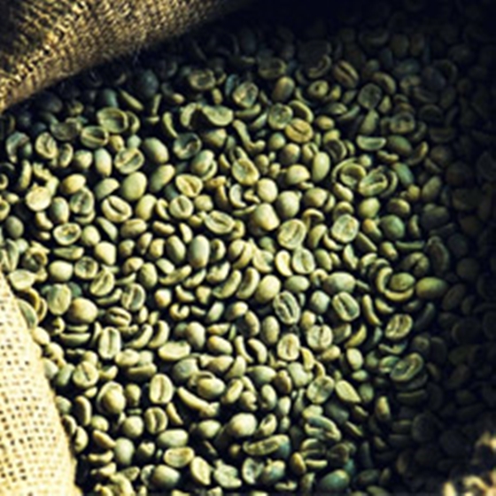 Vietnam Robusta Coffee High Quality for sales
