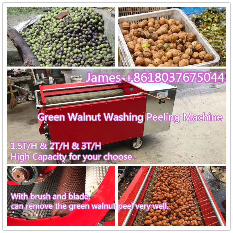 Green walnut washing peeling machine walnut sheller