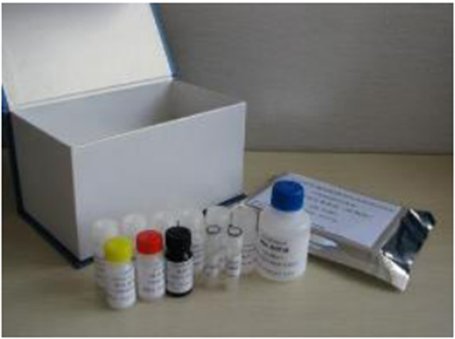 K01CPB Recombinant Carboxypeptidase B ELISA Kit