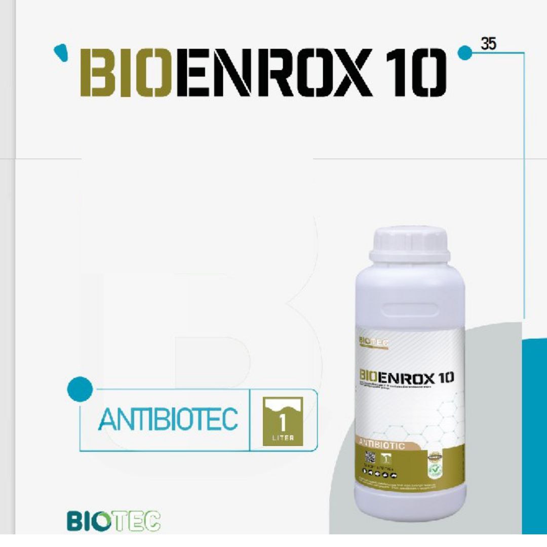 BIOENROX 10 In broiler hens and Turkeys used for the treatment of respiratory system and digestive system infections ca