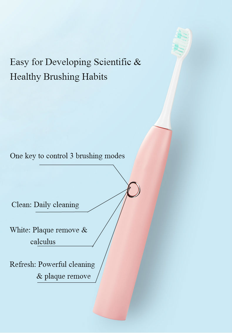 OEM Rechargeable Automatic Travel Tooth brush Adult Sonic Ultrasonic Electric Tooth brush