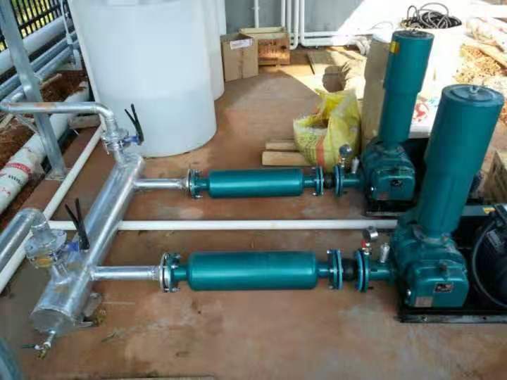Solid and durable roots blower for pneumatic conveying of sewage treatment
