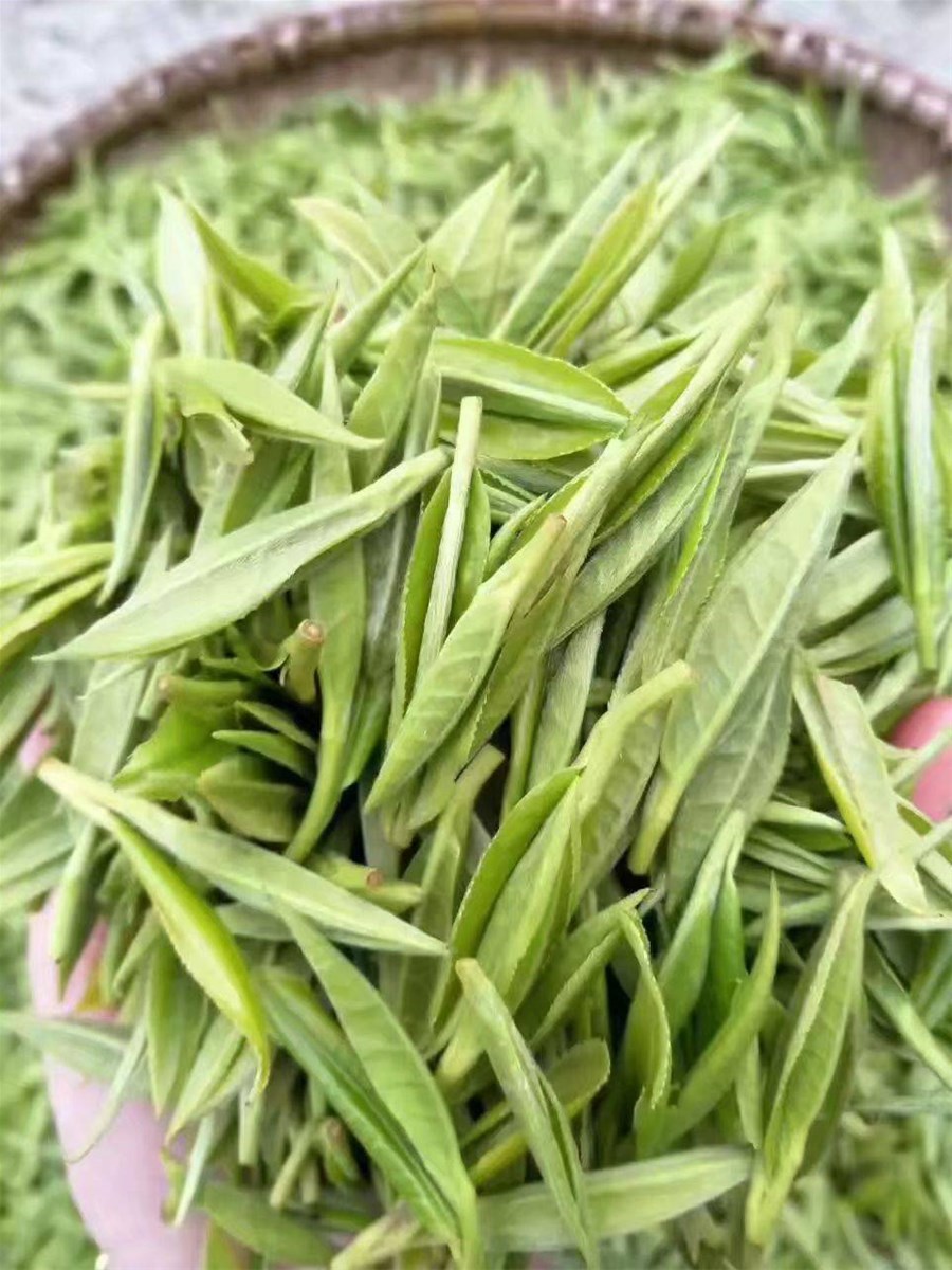 Baojing Golden Tea Hunan Province Xiangxi Tujia Miao Autonomous Prefecture Baojingxian specialty