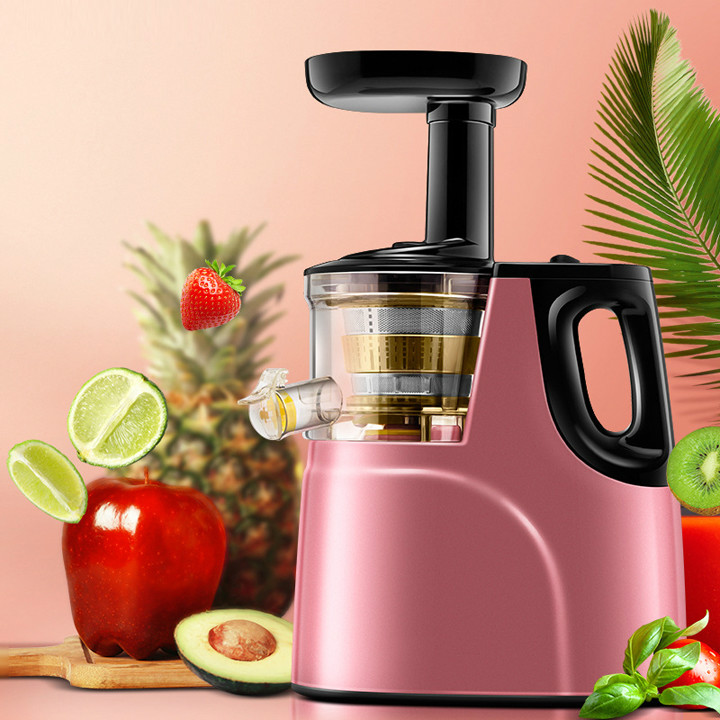 Juicer Machines 2 in 1 Slow Masticating Citrus Juicers Fruits and Vegetables Cold Press Juice Extractor with Antioxidant