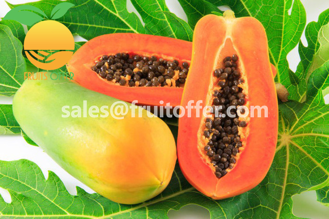 We are supplying papaya originally come from Vietnam with high quality