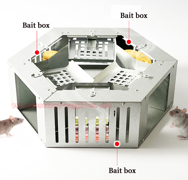 Humane Multiple Catch Rodent Rat Bait Station Metal Mouse Trap Box