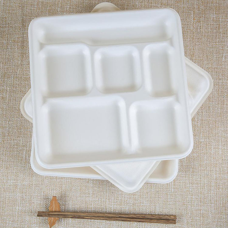 Disposable 6 compartment tray Environmentally friendly biodegradable bagasse tray