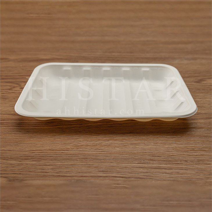 Disposable biodegradable corn starch food tray
