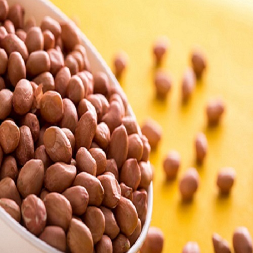 100 Organic Bold Peanuts from Gujarat India