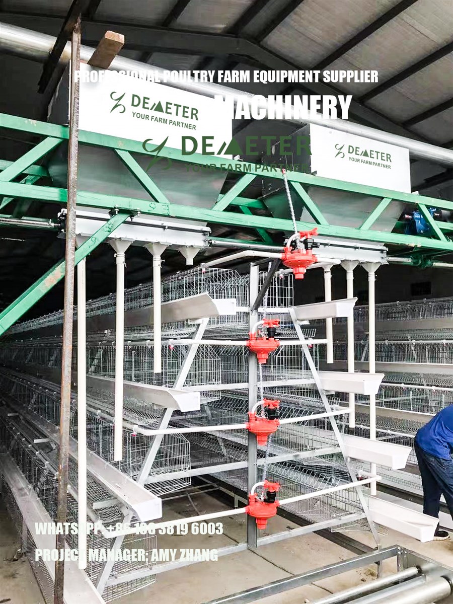 Battery Cage System Layer Chicken Cage Manufacturers Supplier