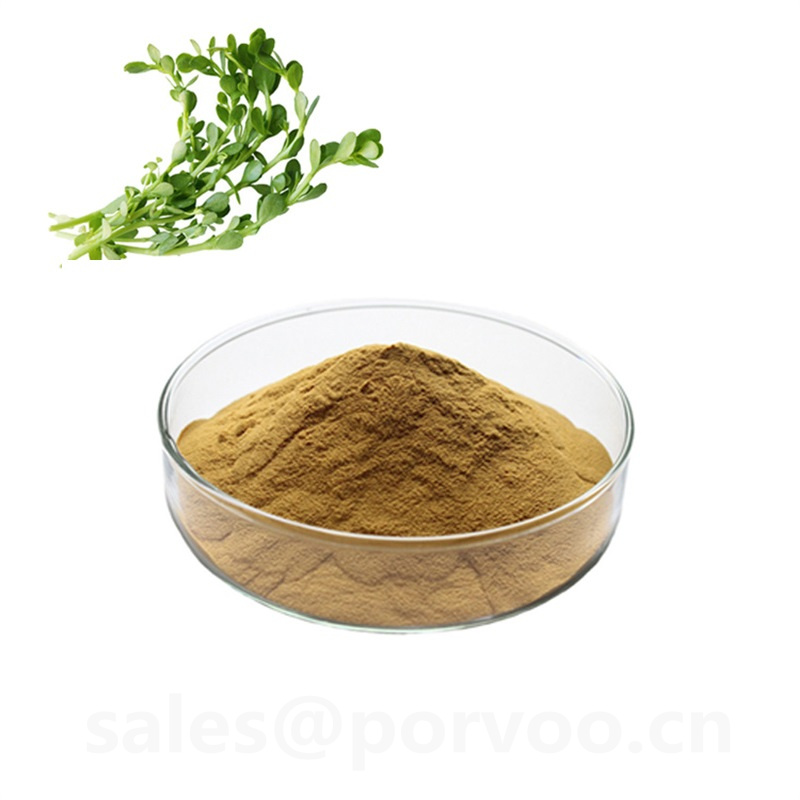 100 Pure Natural bacopa monnieri extract powderThe main benifits of Bacopa Extract