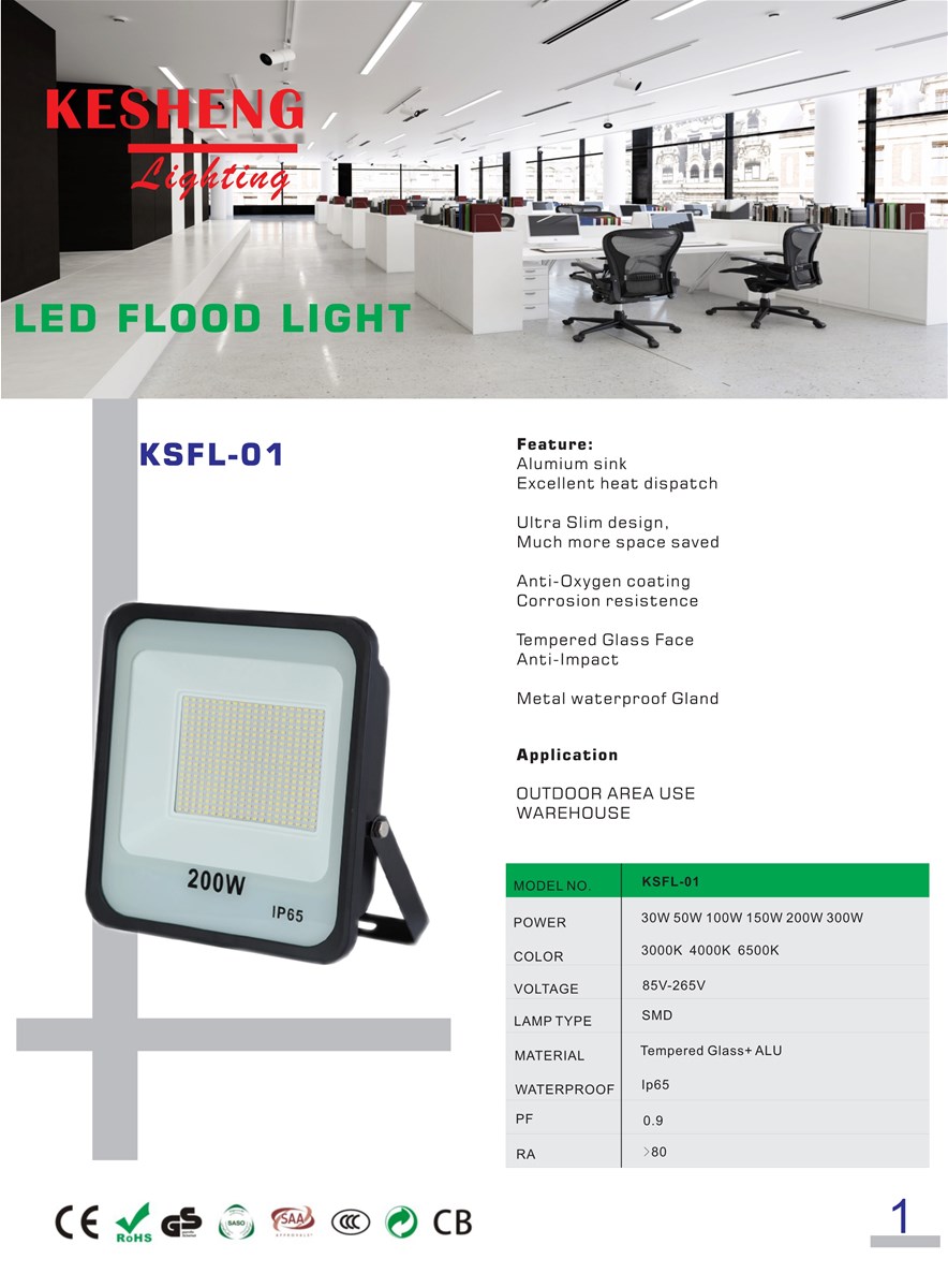 LED outdoor graden light LED 50W flood light