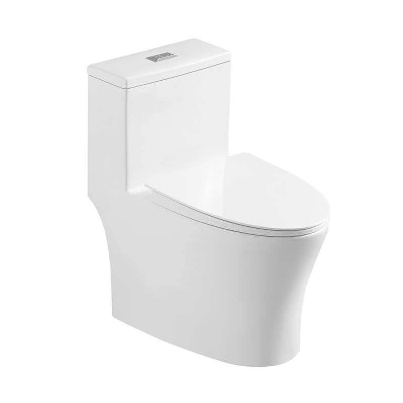 Modern design sanitary ware ceramic remless siphonic one piece wc toilet bowl with ce saso