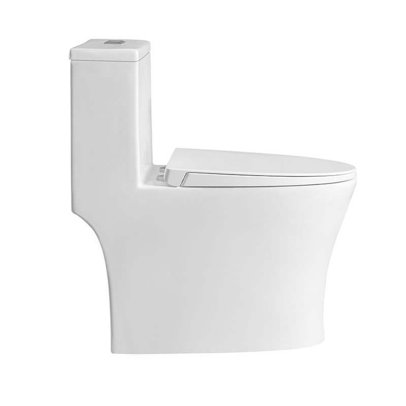 Modern design sanitary ware ceramic remless siphonic one piece wc toilet bowl with ce saso