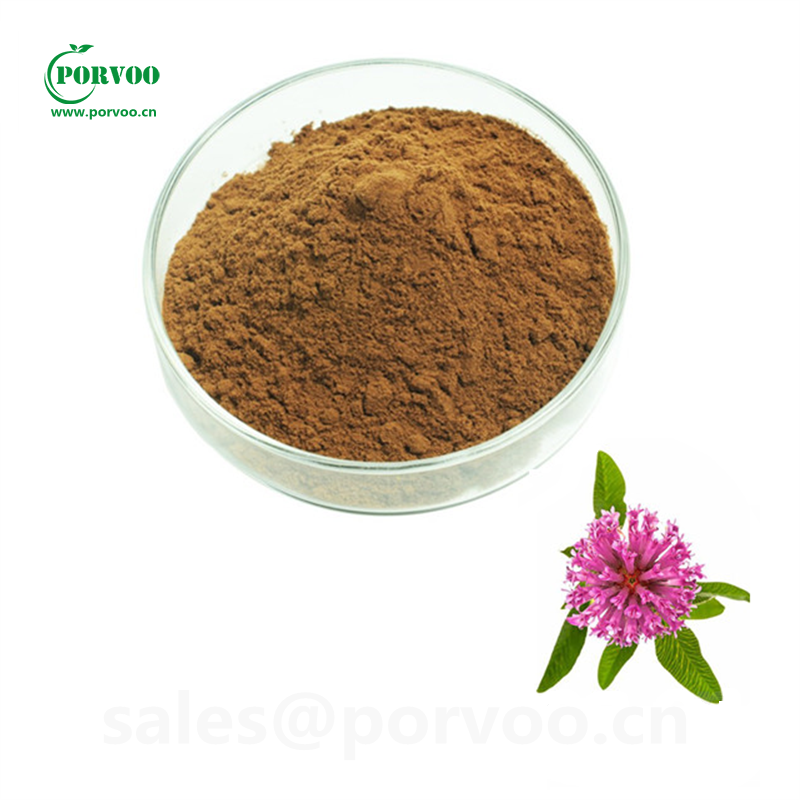 Natural Red Clover powder Isoflavones 20 40 Red Clover Extract factory 85085252
