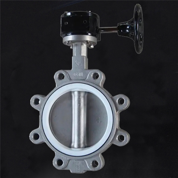 R461 Stainless Steel Lug Type Butterfly Valve