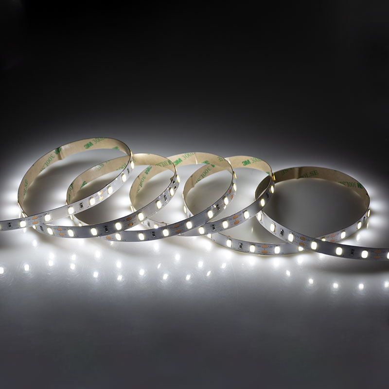 Christmas Outside 6500k White 5730 WWNWW LED Flexible Addressable 12V Digital dmx Led Strip Lights