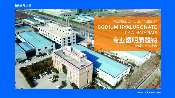 Food grade cas 9067327 Sodium hyaluronate