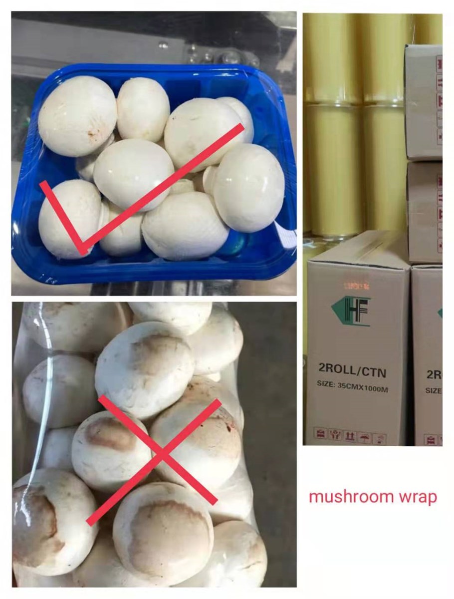 PVC cling film for manual use and machine use meat mushroom fruitfish and edt