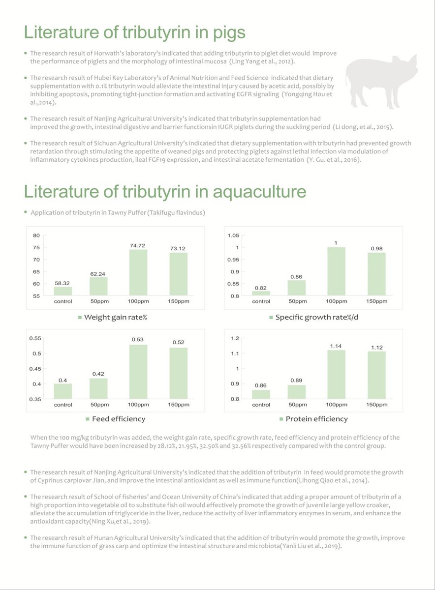 Tributyrin Feed Additives Factory Supply EUCALORIE Tributyrin Powder 45 60 65 70 Poultry Pig Chicken Feed Supplement