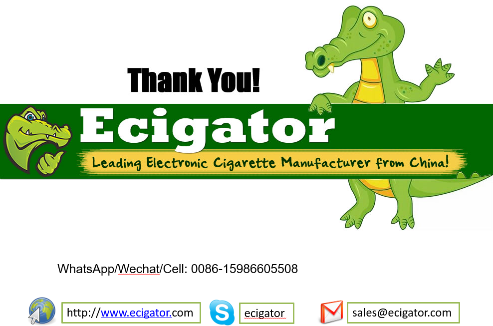 Ecigator Disposable Vaping Bar 500mah Rechargeable 3000 Puffs Vape