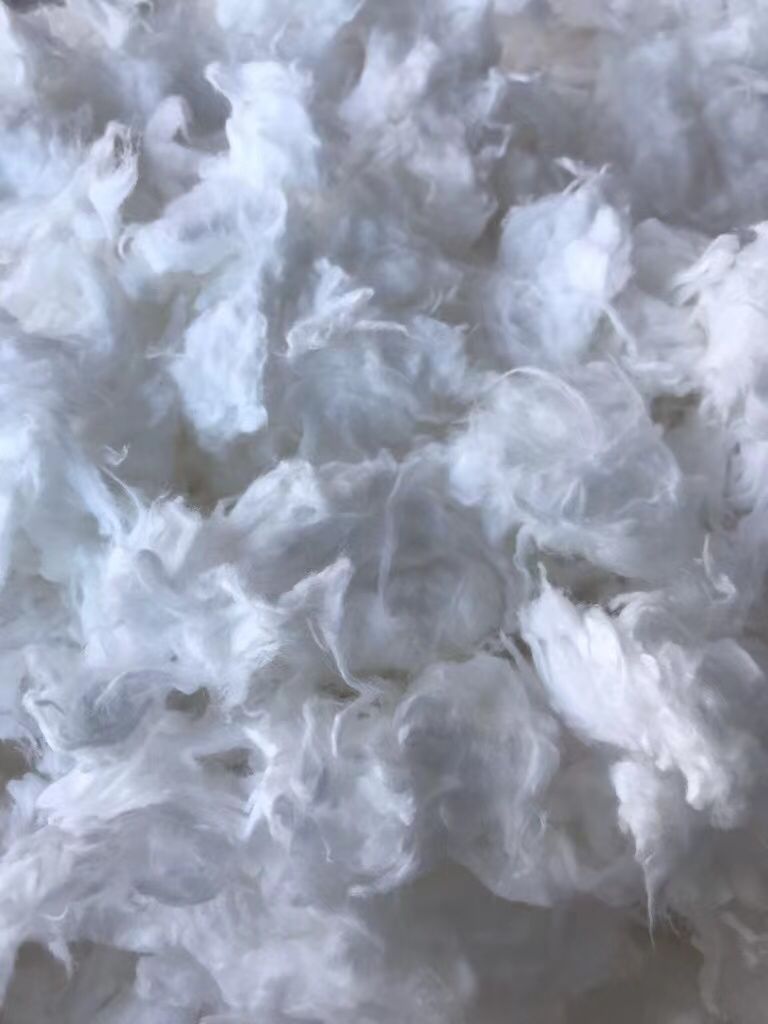 Indian Origin of Bleached Cotton Comber Noil