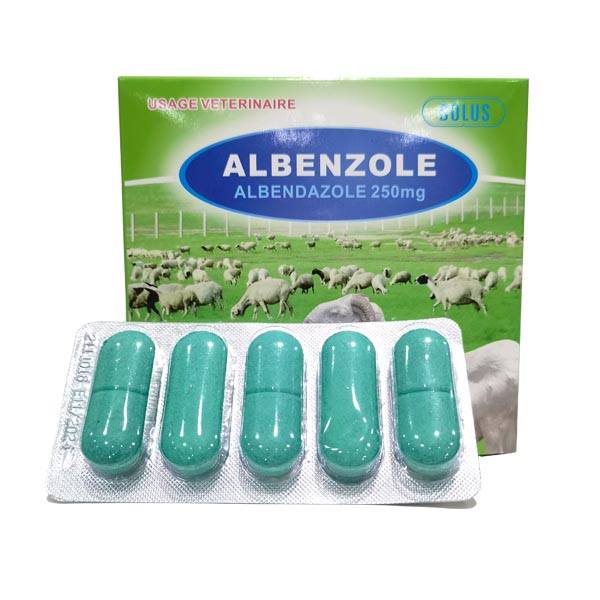 veterinary medicine albendazole bolus 250 mg 300 mg 2500 mg