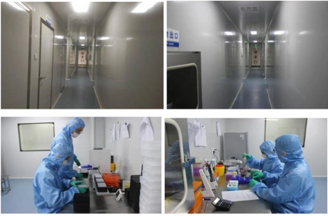 Monkeypox Virus Detection Kit PCRFluorescent Probe