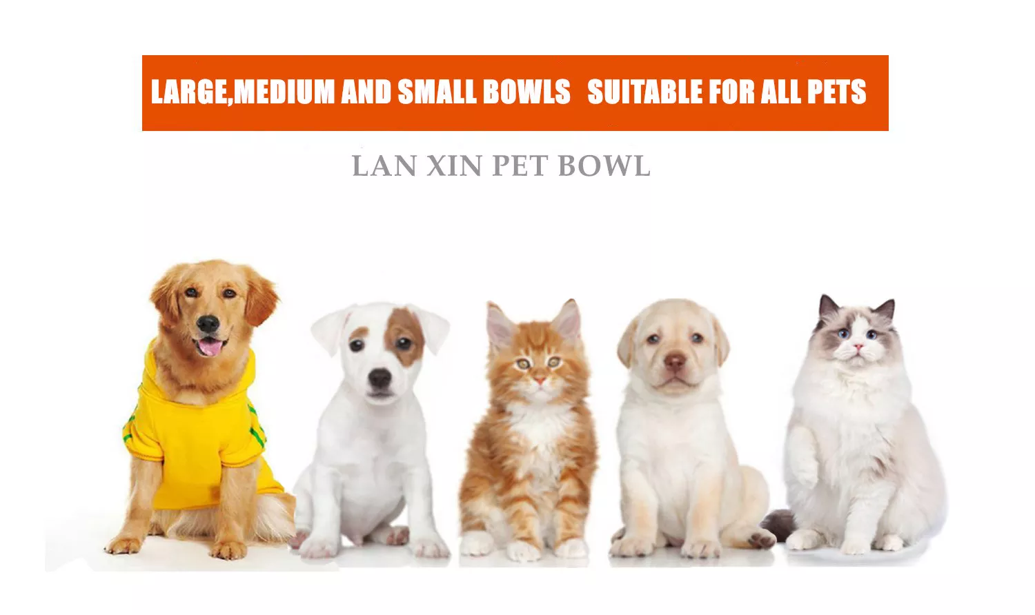 Wholesale Customized 13oz Biodegradable Anti Slip 15 Degree Bevel Pet Bowl Sublimation Melamine Pet Bowl