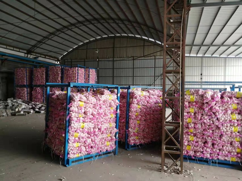 2022 new crop fresh vegetable garlic wholesale from China factory