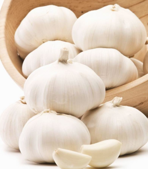 Best price and high quality fresh pure white garlic wholesale from China farm