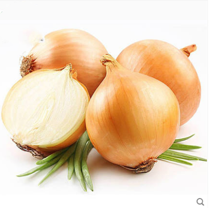 Direct farm selling most fresh non polluted onion from Shandong Chengda China