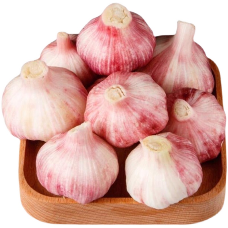 hot sale with top quality and very low price 2022 crop chinese garlic exporters professional factory