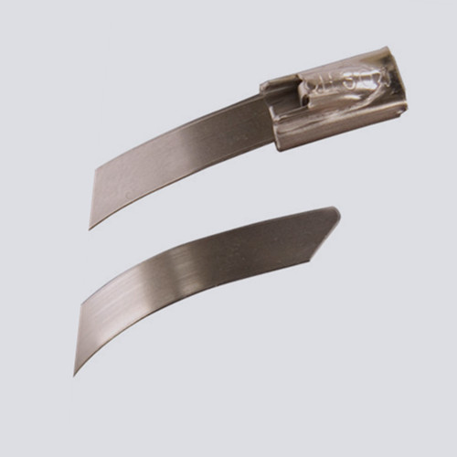 Stainless Steel Cable Ties From Wuhan MZ