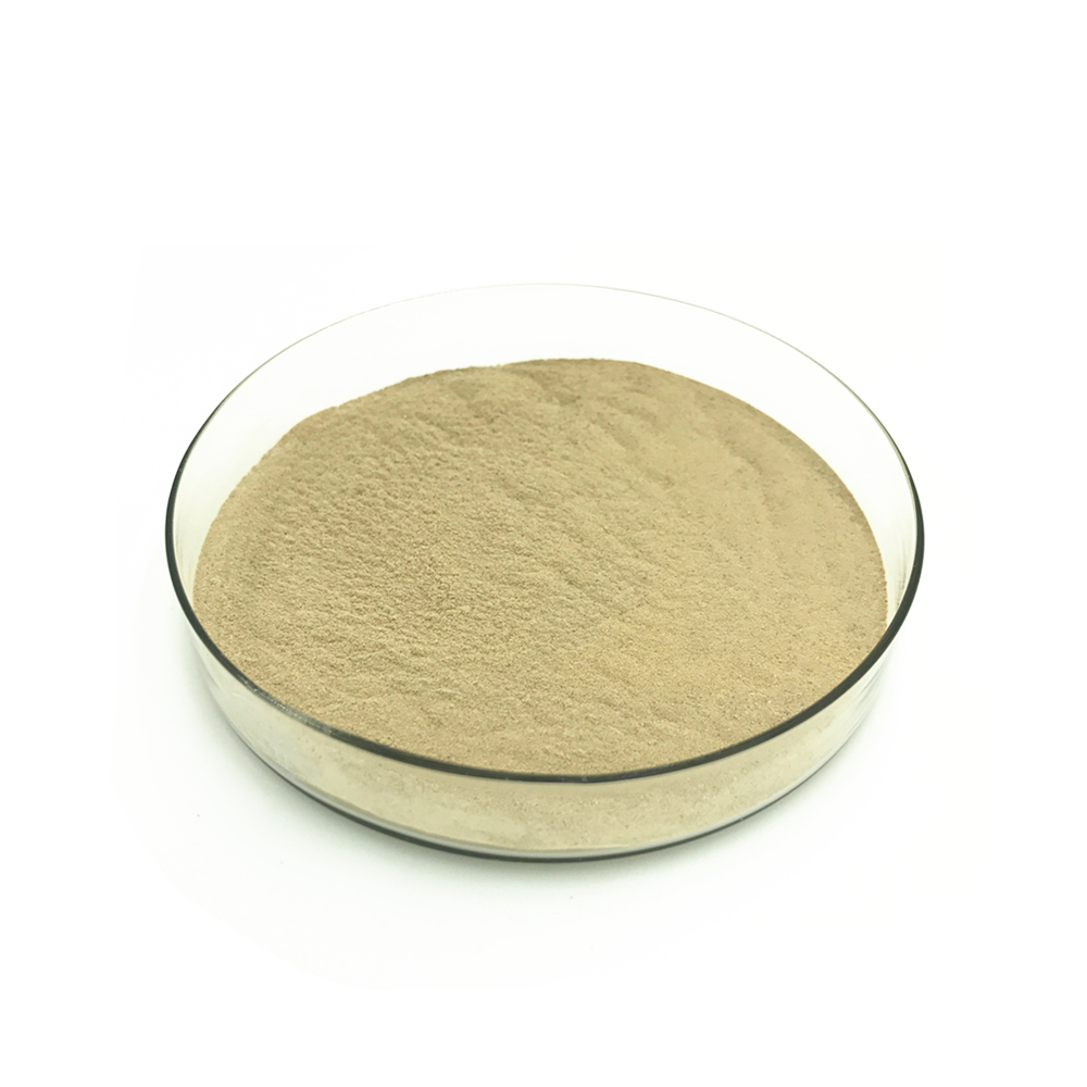 Hotselling Cellulase Enzyme Powder Form with more Competitive Price