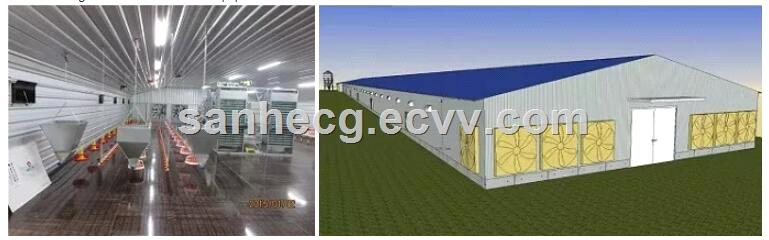 Prefabricated Light Steel Structure commercial Chicken Sheds POULTRY BUILDINGS hen shed