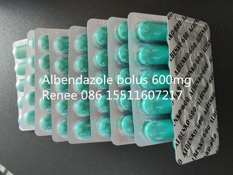 Albendazole and Oxyclozanide Bolus 600mg300mg