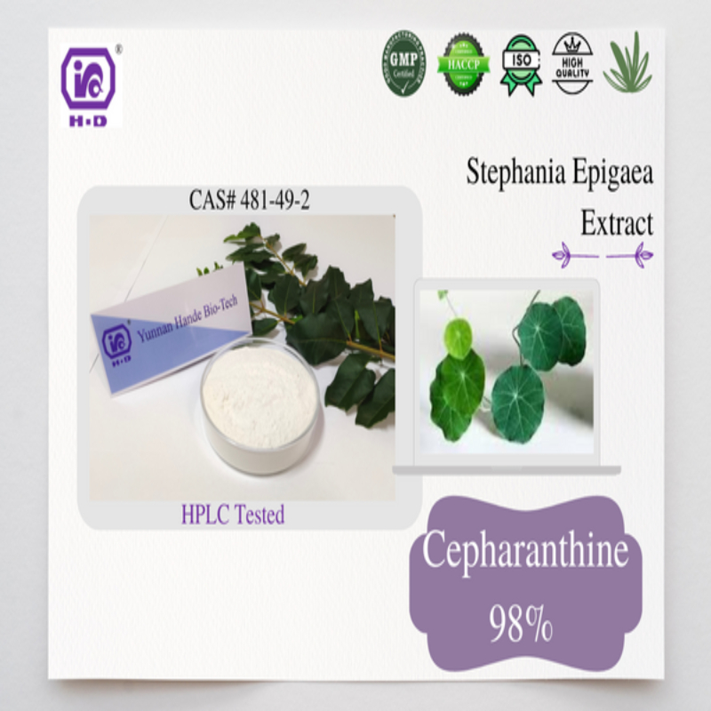 Cepharanthine 98 CAS 481492 COVID19 specific medicine raw materials