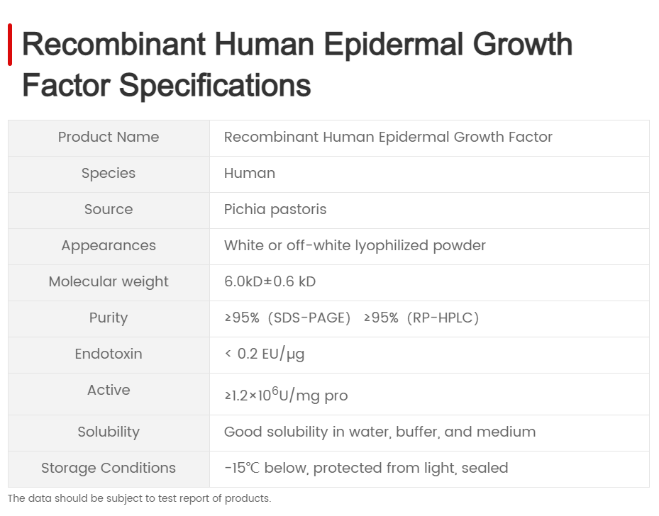 Recombinant Human Epiderimal Growth Factor EGF