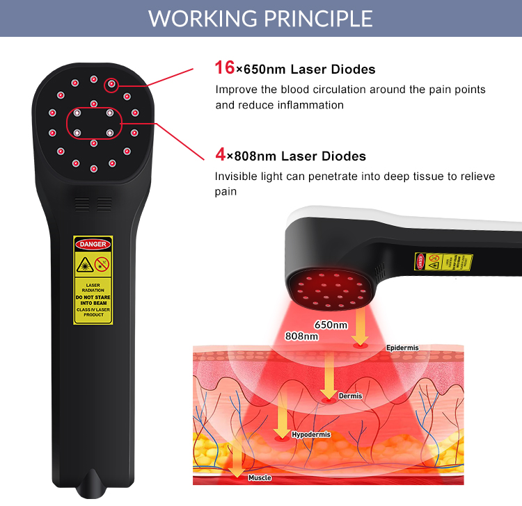 650nm 808nm cold laser therapy device lllt for pain relief and physical rehabilitation