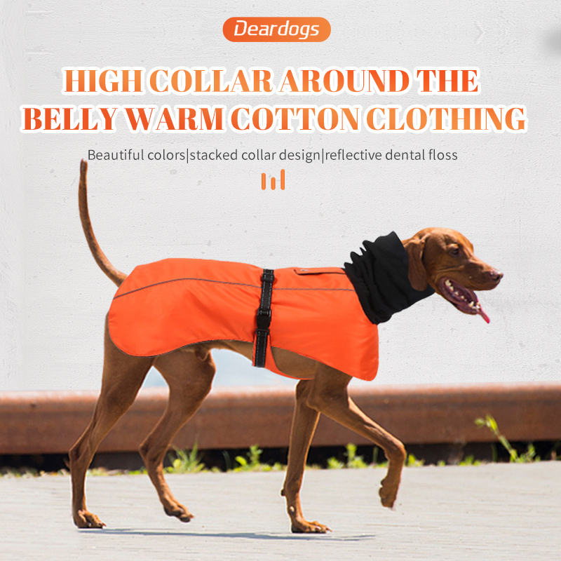 Deardogs turtleneck belly warm cottonpadded jacket