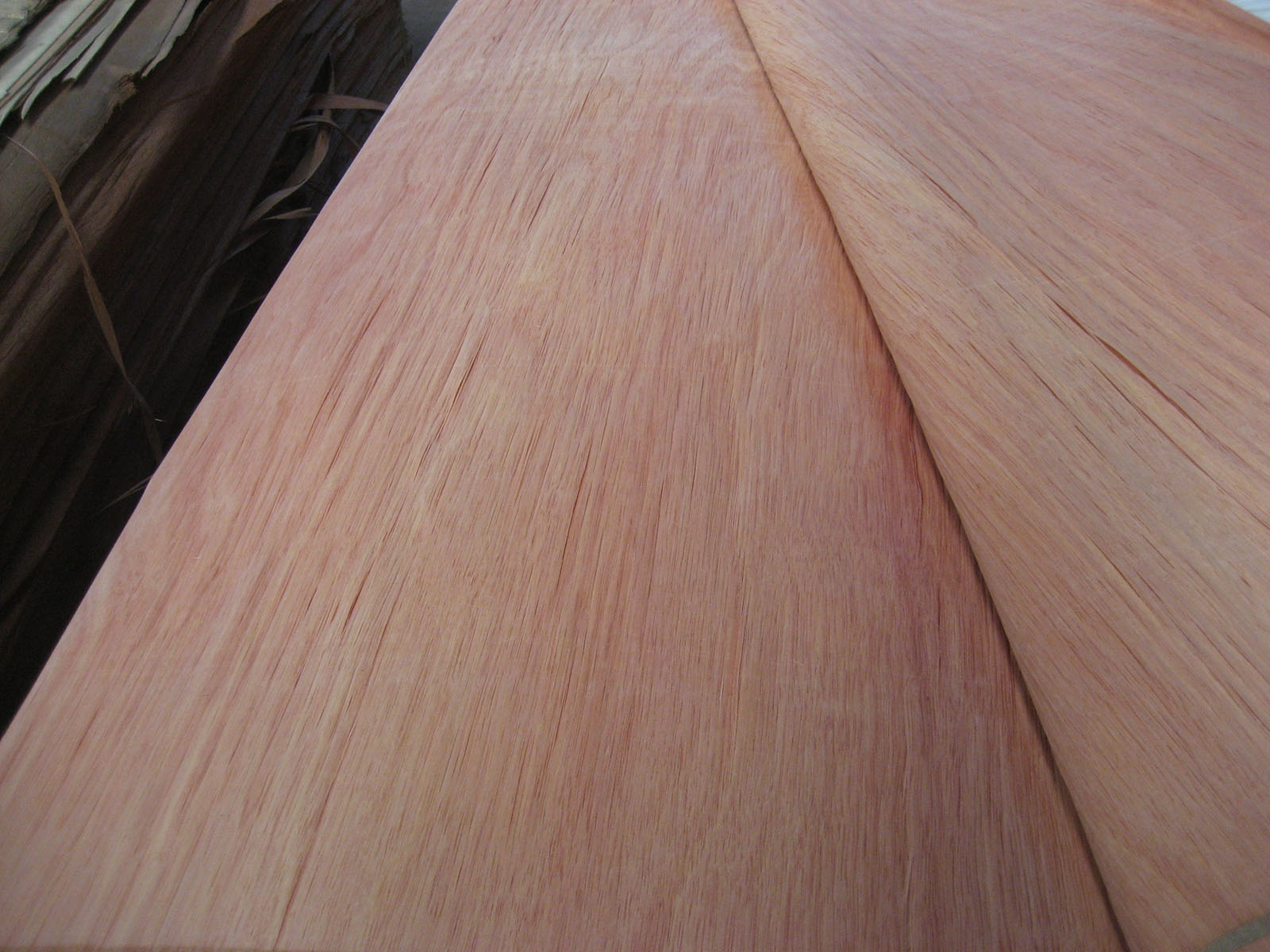 Rotary Cut PLB Veneer for plywood