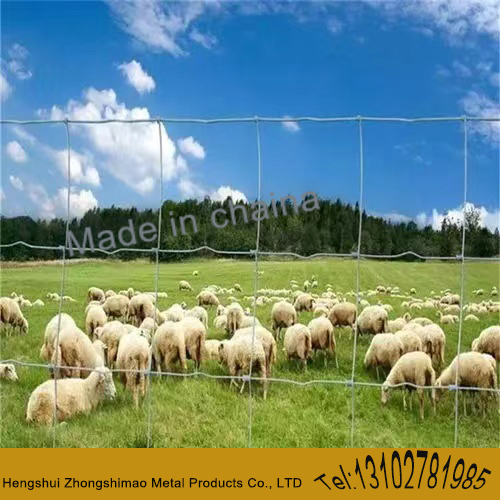 wire mesh for grassland wire mesh fence