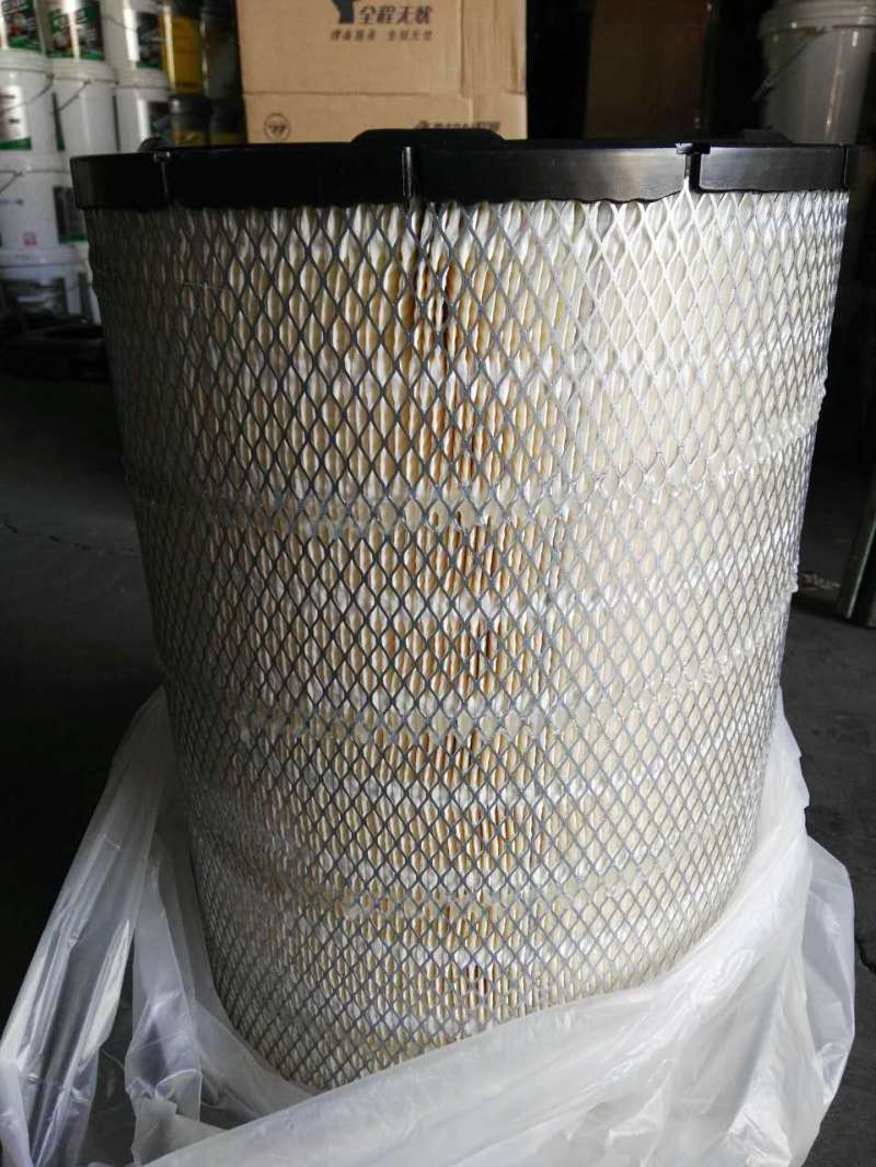 Filter element assembly (inner and outer filter elements each)