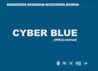 Cyber Blue HK Limited