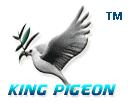 kngpigeon gsm alarm china group